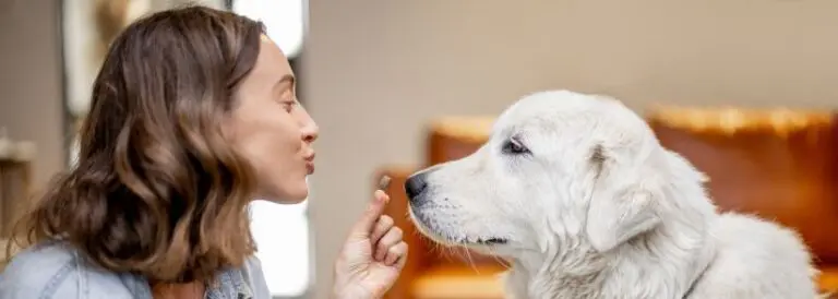 Decades in human nutrition; real impact in pet wellness brands