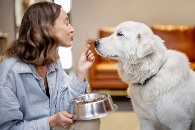 Decades in human nutrition; real impact in pet wellness brands
