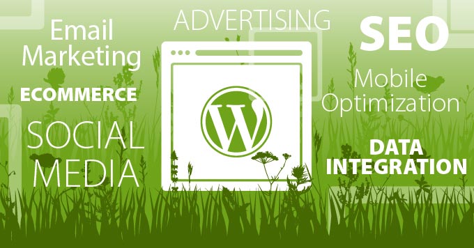 We create websites that work for you today and tomorrow