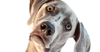 What is the best way to market a new product?