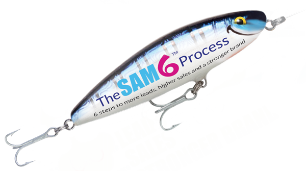 sam 6 process from the ceo's guide to marketing