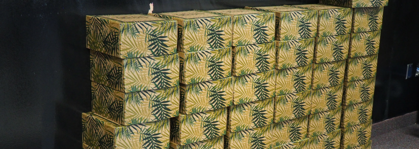 Product sampling campaigns: Another way we get results