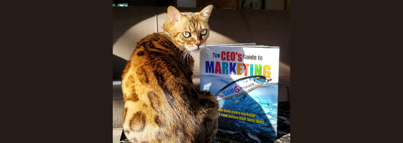 How to market your products to the pet industry