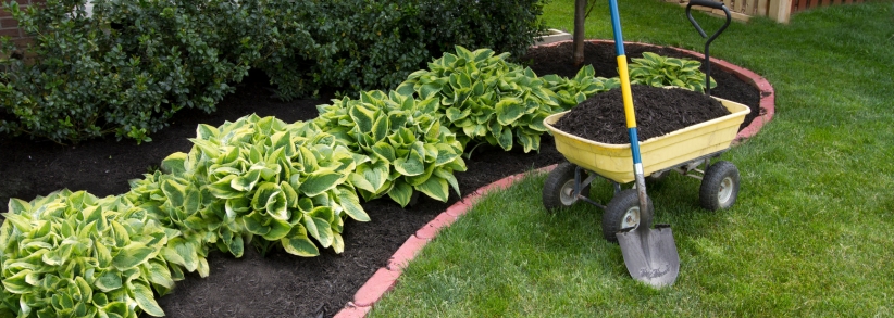 Clean looking landscaping with wheelbarrow full of dirt and shovel standing next to it.